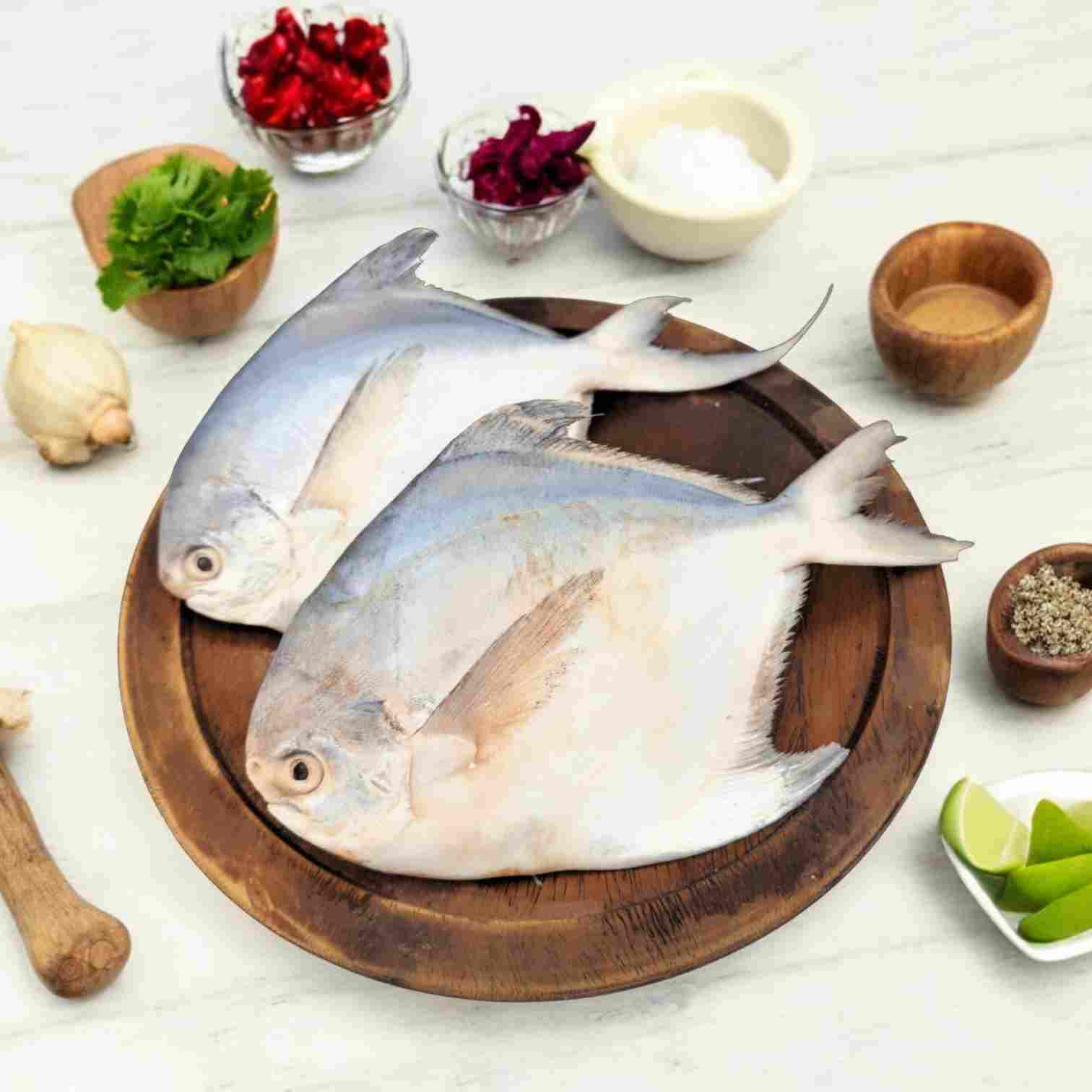 Pomfret Fish - Small Size